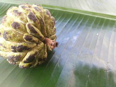 Muz yaprağına izole edilmiş muhallebi elması. Meyvenin sert teni ve derisinde siyah ve yeşil gölgeler var. Yeşil muz yaprağının üzerinde çizgiler var..