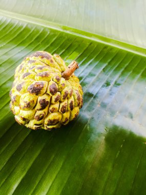 Muz yaprağına izole edilmiş muhallebi elması. Meyvenin sert teni ve derisinde siyah ve yeşil gölgeler var. Yeşil muz yaprağının üzerinde çizgiler var..