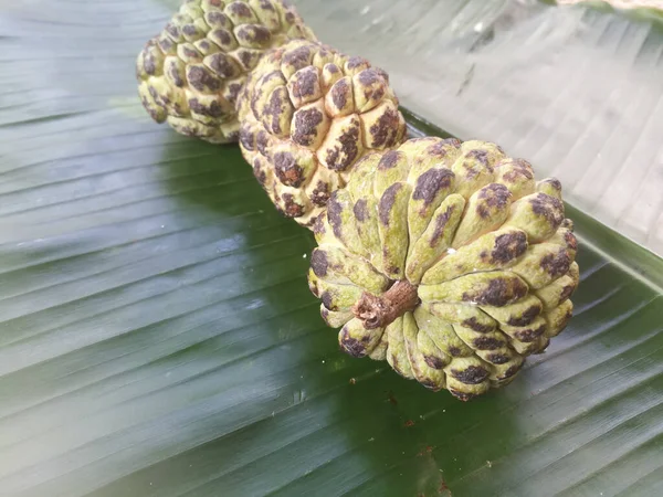 Muz yaprağına izole edilmiş muhallebi elması. Meyvenin sert teni ve derisinde siyah ve yeşil gölgeler var. Yeşil muz yaprağının üzerinde çizgiler var..