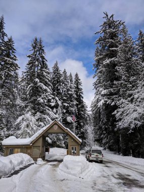 Port Angeles, Washington, ABD: 15 Aralık 2019, Olimpiyat Ulusal Parkı Ziyaretçi Merkezi girişinde karla kaplı ağaçlar.
