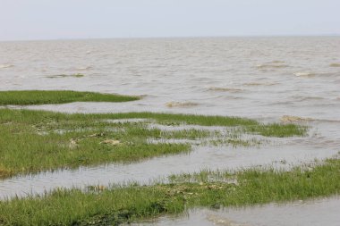 Küçük bir nehir Kuzey Denizi 'ne akar