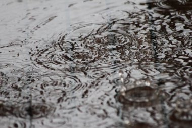 Suya düşen yağmur damlaları
