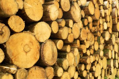 Bazı farklı boyutlarda istiflenmiş sandıklar