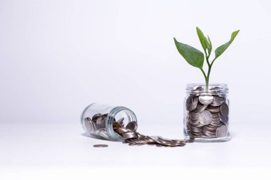 Beyaz arkaplana sürahi bardağa bozuk para koyarak tasarruf etmek