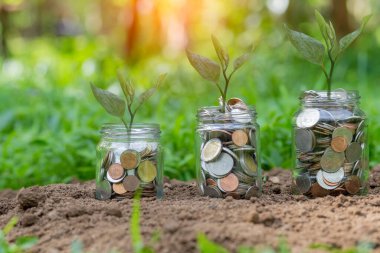 Arka planda sürahi bardağa bozuk para koyarak para biriktirmek