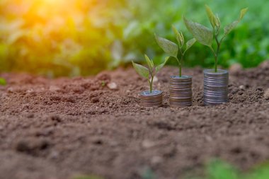 Arka planda sürahi bardağa bozuk para koyarak para biriktirmek