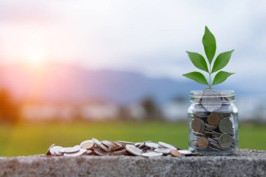 Elle para biriktirmek sürahi bardaklarına bozuk para koymak ve yerde dinlenen bozuk paralar.