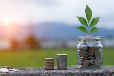 Elle para biriktirmek sürahi bardaklarına bozuk para koymak ve yerde dinlenen bozuk paralar.