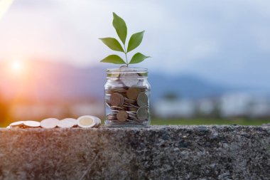 Elle para biriktirmek sürahi bardaklarına bozuk para koymak ve yerde dinlenen bozuk paralar.