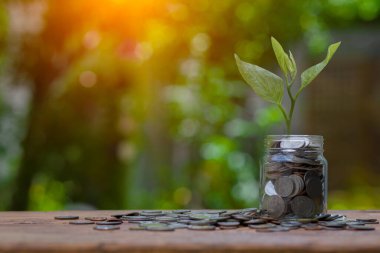 Para biriktirmek için arka plandaki sürahi bardaklara madeni para koymak.