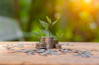 Para biriktirmek için arka plandaki sürahi bardaklara madeni para koymak.