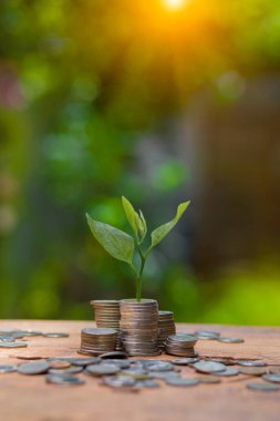 Para biriktirmek için arka plandaki sürahi bardaklara madeni para koymak.