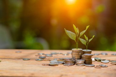 Para biriktirmek için arka plandaki sürahi bardaklara madeni para koymak.