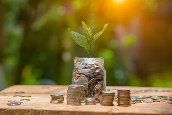 Saving Money Hand Puting Coins Jug Glass Nature Background — Stock Photo, Image