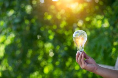 Ampul Enerjisi. Güzel yeşil doğayı koruyan arka plan. Güneş ağaçta parlıyor.