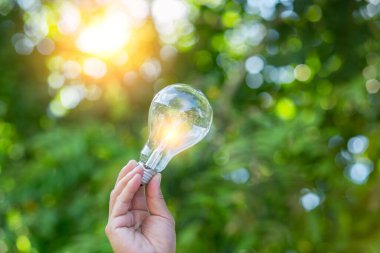 Ampul Enerjisi. Güzel yeşil doğayı koruyan arka plan. Güneş ağaçta parlıyor.