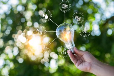 Ampul Enerjisi yeşil arkaplanı kaydediyor