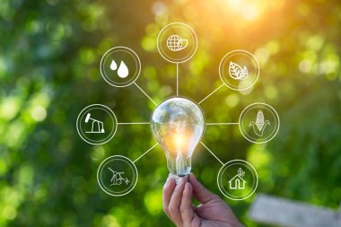 Ampul Enerjisi yeşil arkaplanı kaydediyor