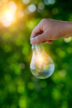 Ampul Enerjisi yeşil arkaplanı kaydediyor