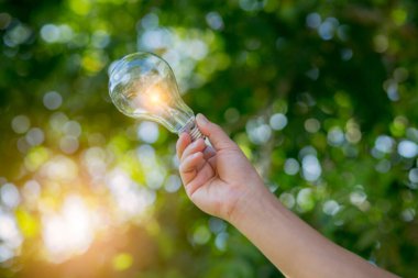 Ampul Enerjisi yeşil arkaplanı kaydediyor