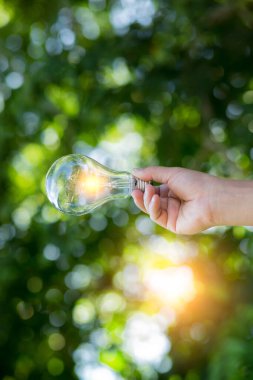 Ampul Enerjisi yeşil arkaplanı kaydediyor