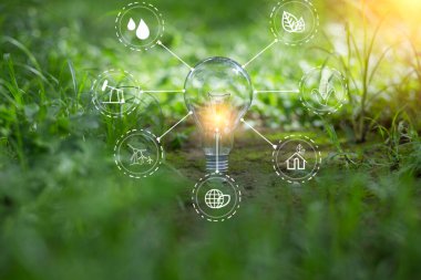 Ampul Enerjisi. Güzel yeşil doğayı koruyan arka plan. Güneş ağaçta parlıyor.