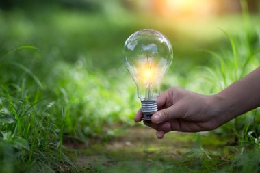 Ampul Enerjisi. Güzel yeşil doğayı koruyan arka plan. Güneş ağaçta parlıyor.