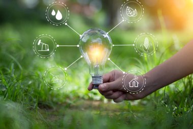 Ampul Enerjisi. Güzel yeşil doğayı koruyan arka plan. Güneş ağaçta parlıyor.