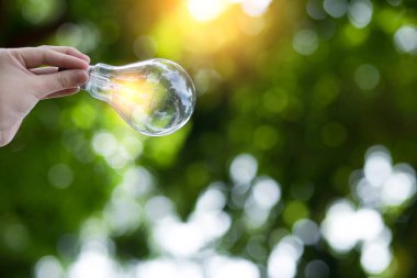 Ampul Enerjisi. Güzel yeşil doğayı koruyan arka plan. Güneş ağaçta parlıyor.