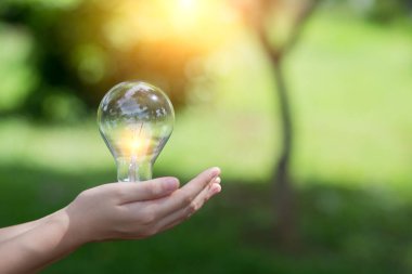 Ampul Enerjisi. Güzel yeşil doğayı koruyan arka plan. Güneş ağaçta parlıyor.