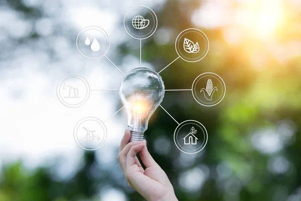 Ampul Enerjisi. Güzel yeşil doğayı koruyan arka plan. Güneş ağaçta parlıyor.