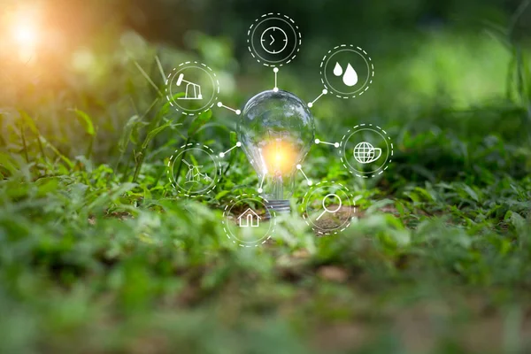 Ampul Enerjisi. Güzel yeşil doğayı koruyan arka plan. Güneş ağaçta parlıyor.