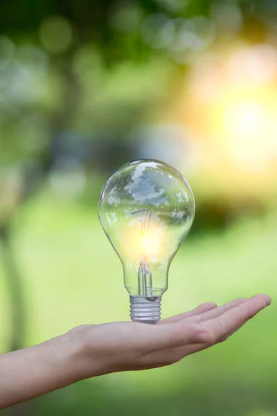 Bombilla Ahorro Energía Hermosa Naturaleza Verde Fondo Sol Brilla Través — Foto de Stock