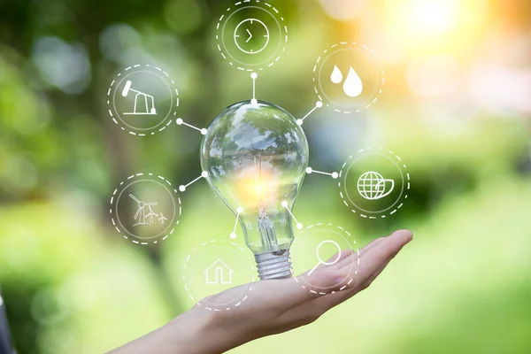 Ampul Enerjisi. Güzel yeşil doğayı koruyan arka plan. Güneş ağaçta parlıyor.