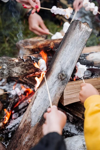 Cuire Des Guimauves Sur Feu Camp Des Guimauves Sur Bâton — Photo