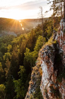 Gün batımında güneş, dağdaki tayga ormanını aydınlatır. Akşam ışığı.
