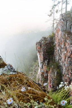 Aşağıdaki siste uçurumdan manzara, yaz sabahının erken saatlerinde, dağdaki çam ormanı.