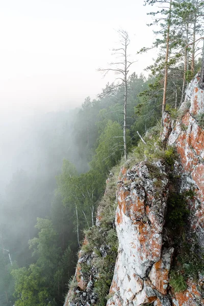 Kilátás Szikláról Köd Alatt Kora Nyári Reggel Fenyőerdő Hegyen — Stock Fotó