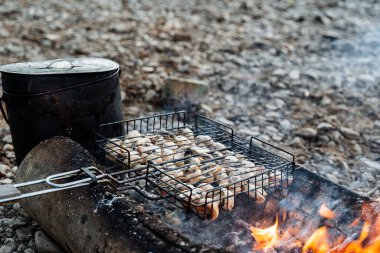 Kömürde ızgara mantar, yakın çekim, ön plana odaklanma, doğada barbekü, ızgara, yangın dumanı.