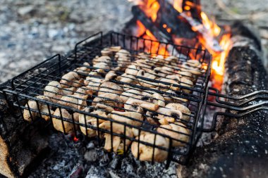Kömürde ızgara mantar, yakın çekim, ön plana odaklanma, doğada barbekü, ızgara, yangın dumanı.