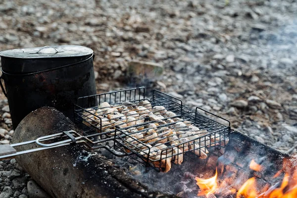 烤蘑菇在煤块上 聚焦在前景 烧烤在自然界 — 图库照片