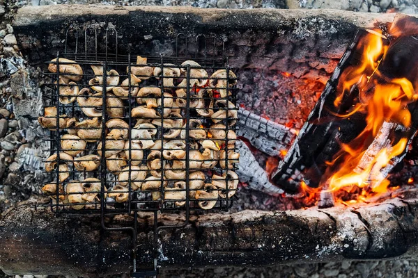 Champignons Grillés Sur Les Charbons Gros Plan Focus Premier Plan — Photo