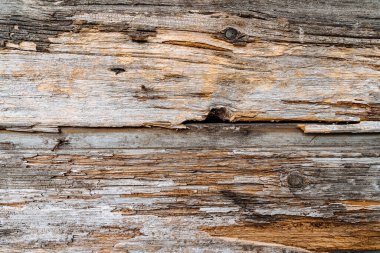 Arkaplan olarak eski bir ağacın dokusu, eski bir evin duvarının bir parçası, tasarım için.