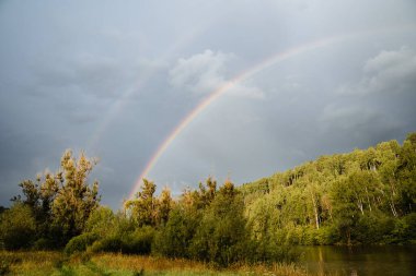 Orman yolu sabah güneşiyle aydınlanıyor, ılık yaz günü, güneş parlıyor, manzara...