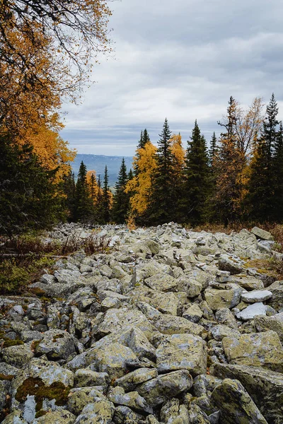 Grandes Pierres Kurum Trouvent Dans Forêt Automne Dans Les Montagnes — Photo