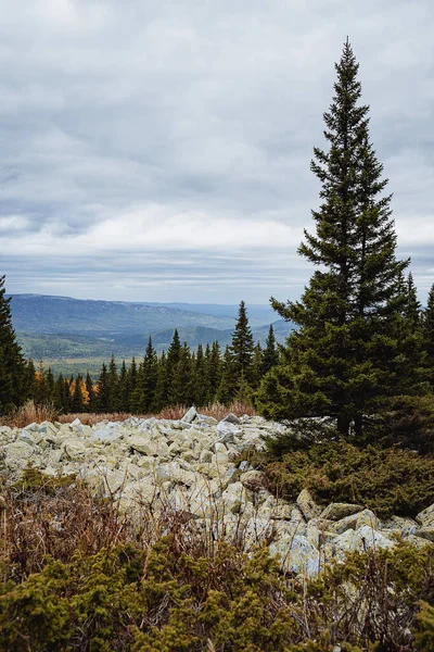 Grandes Pierres Kurum Trouvent Dans Forêt Automne Dans Les Montagnes — Photo