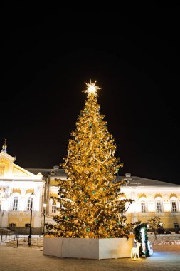 Meydanda ışıkları olan bir Noel ağacı, yeni yıl için süslenmiş uzun bir köknar ağacı.