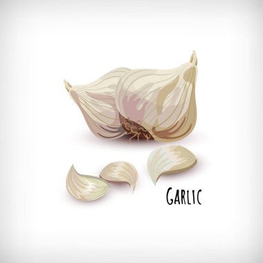 Beyaz arka planda izole edilmiş sarımsak karanfilleri. Sebzeli organik ekolojik tarım ürünü. Sarımsak. Baharat aromalı sos koleksiyonu. Vektör illüstrasyonu.