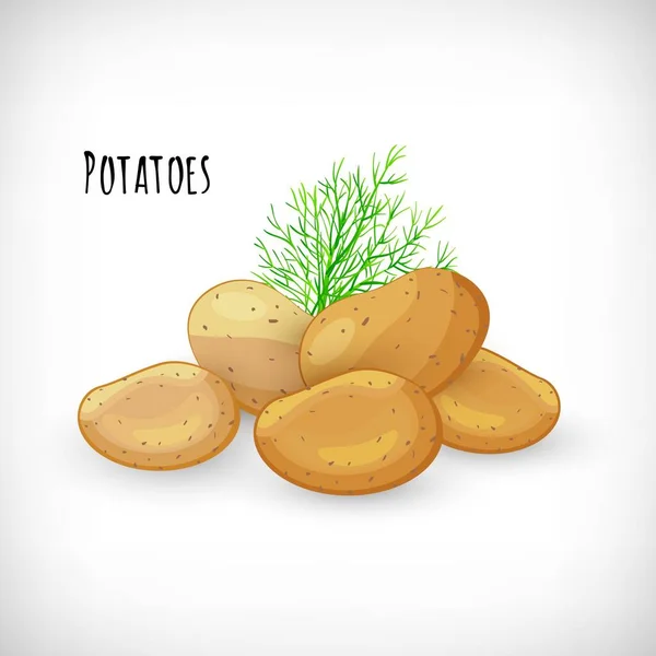 Batatas Inteiras Não Descascadas Galho Endro Estilo Plano Produtos Agrícolas —  Vetores de Stock