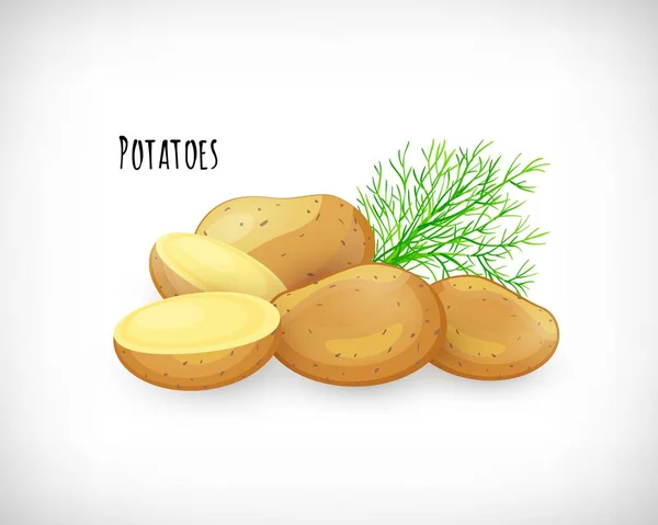 Patatas Enteras Mitad Sin Pelar Ramita Eneldo Estilo Plano Vegetal — Vector de stock